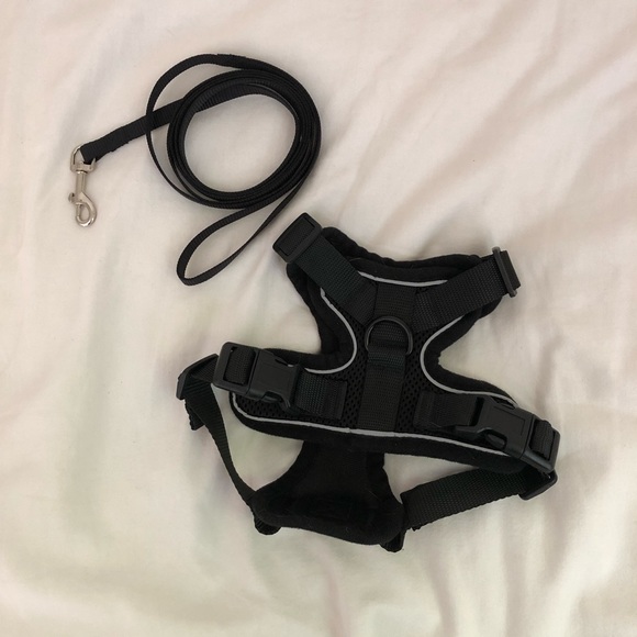 cat harness and leash - Picture 1 of 2